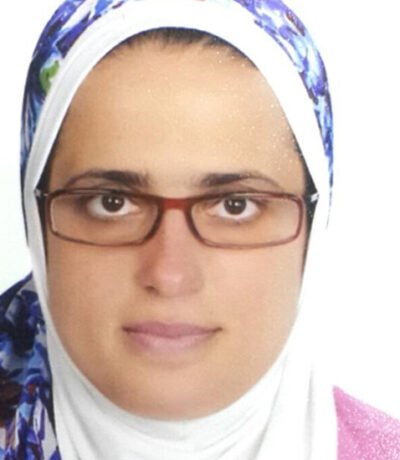 أ.د دينا محمد السيد حبيب